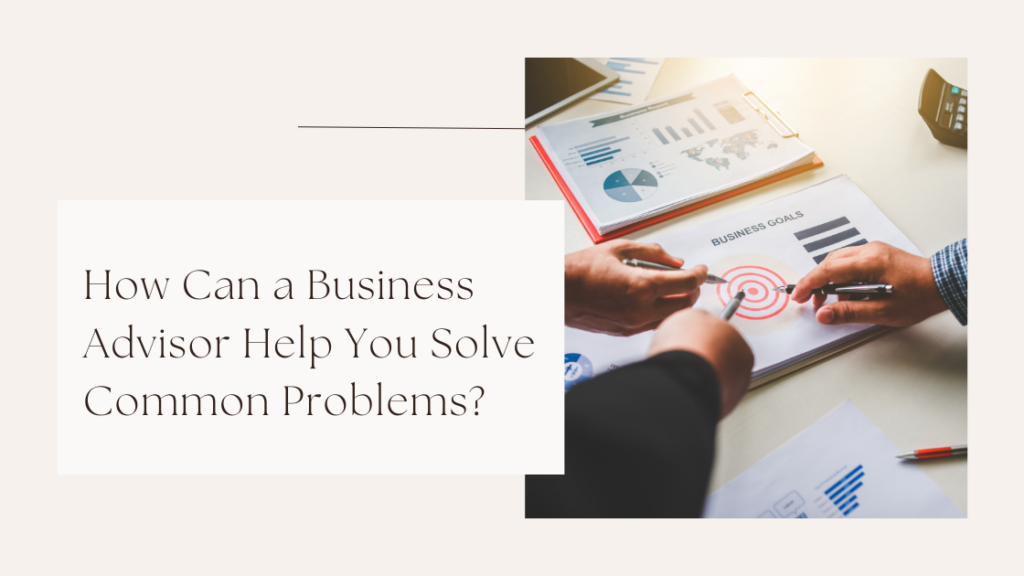 Zeeshan Hayat – How Can a Business Advisor Help You Solve Common ...