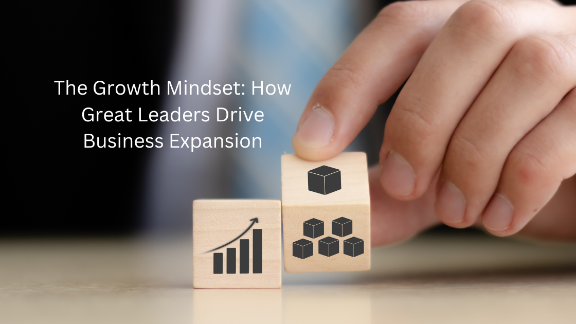 Zeeshan Hayat – The Growth Mindset How Great Leaders Drive Business Expansion